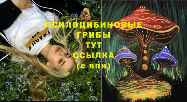 герыч Алзамай