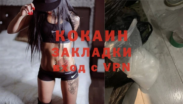 хмурый Абаза