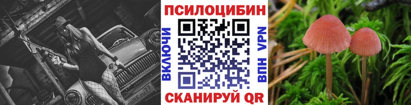Псилоцибиновые грибы Psilocybine cubensis  Сочи 
